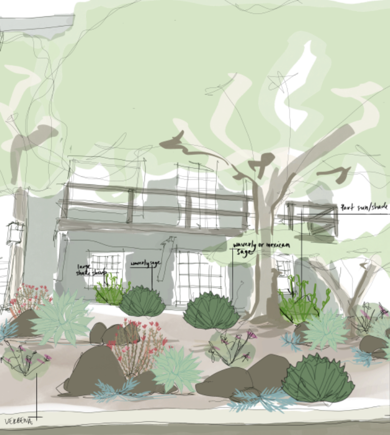 Yarrow garden