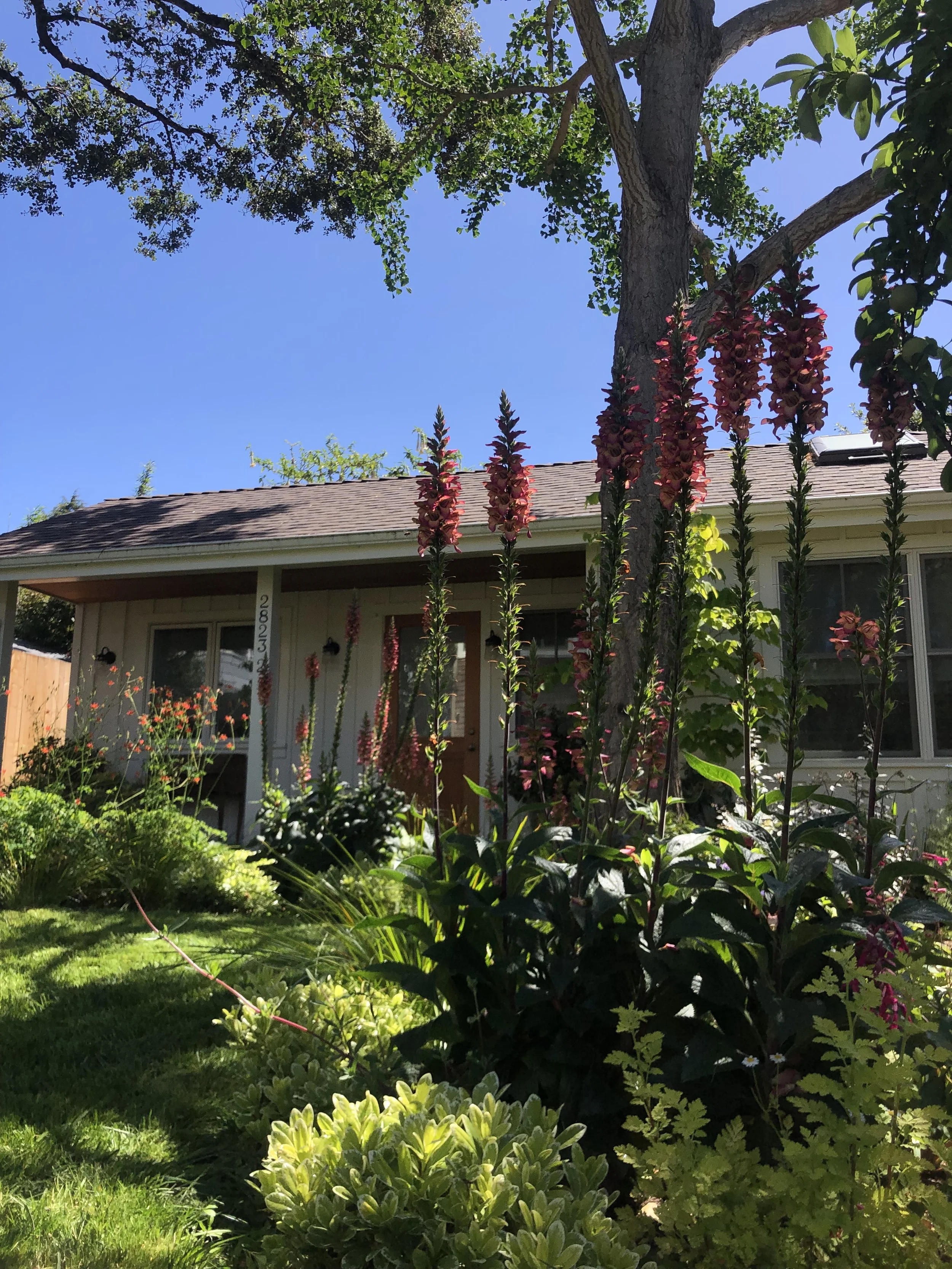 Our Gardens