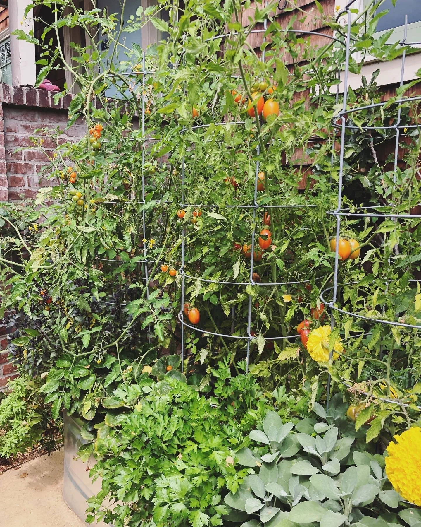 Our Gardens