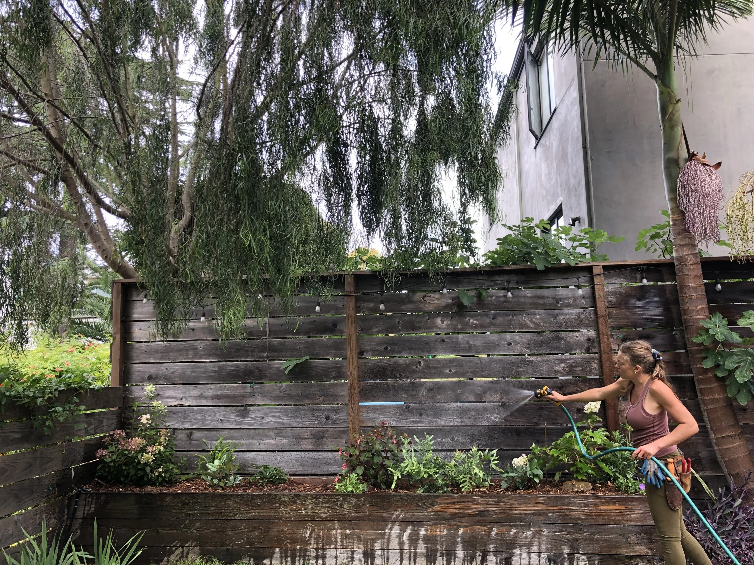 Our Gardens