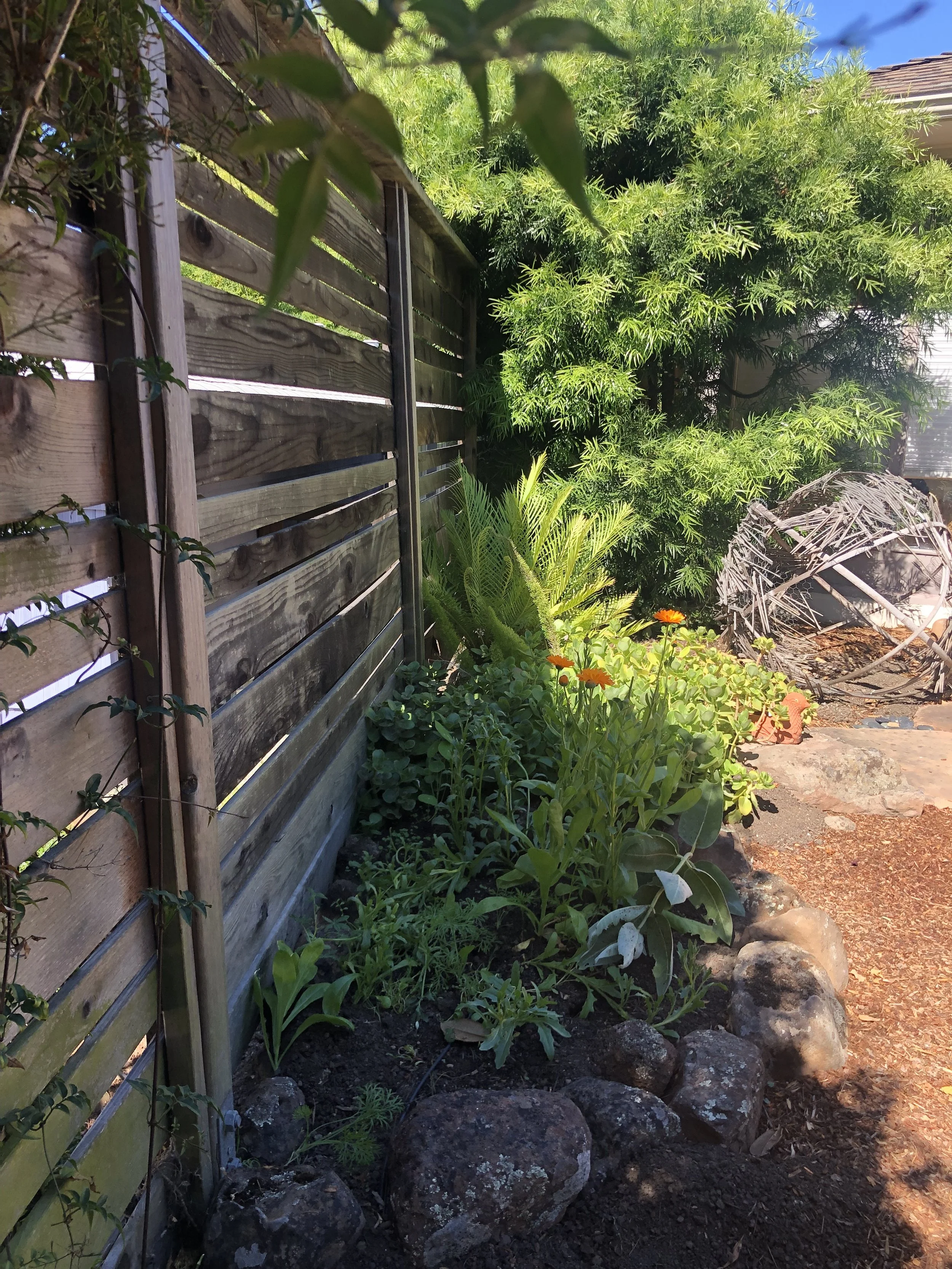 Our Gardens