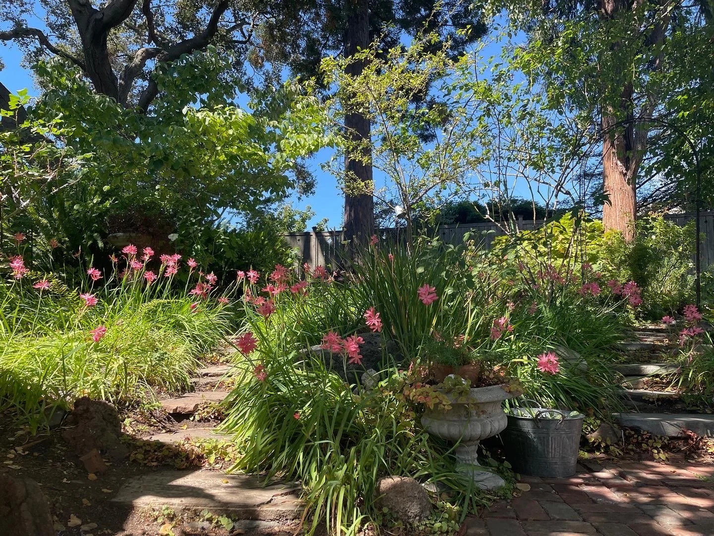 Our Gardens