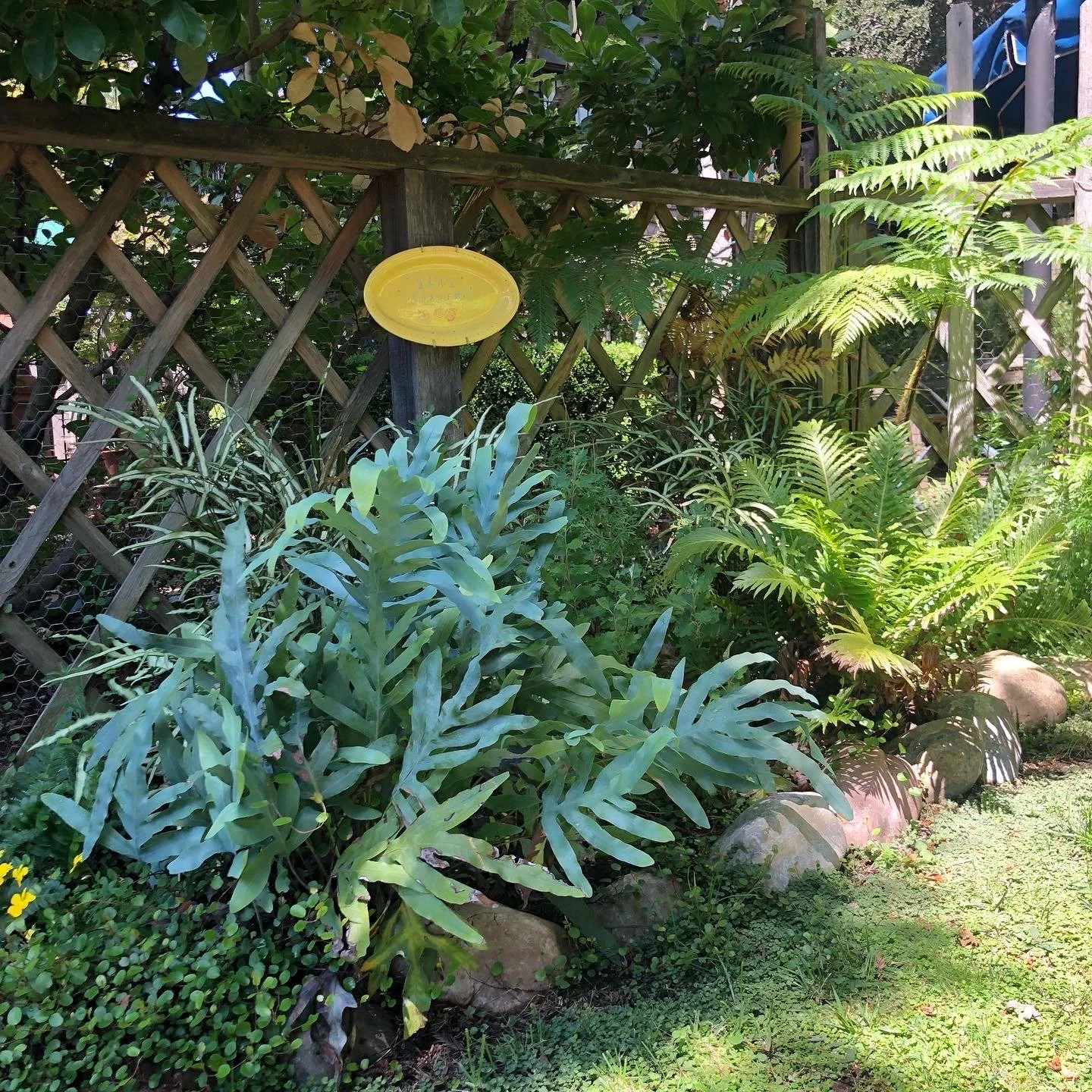 Our Gardens
