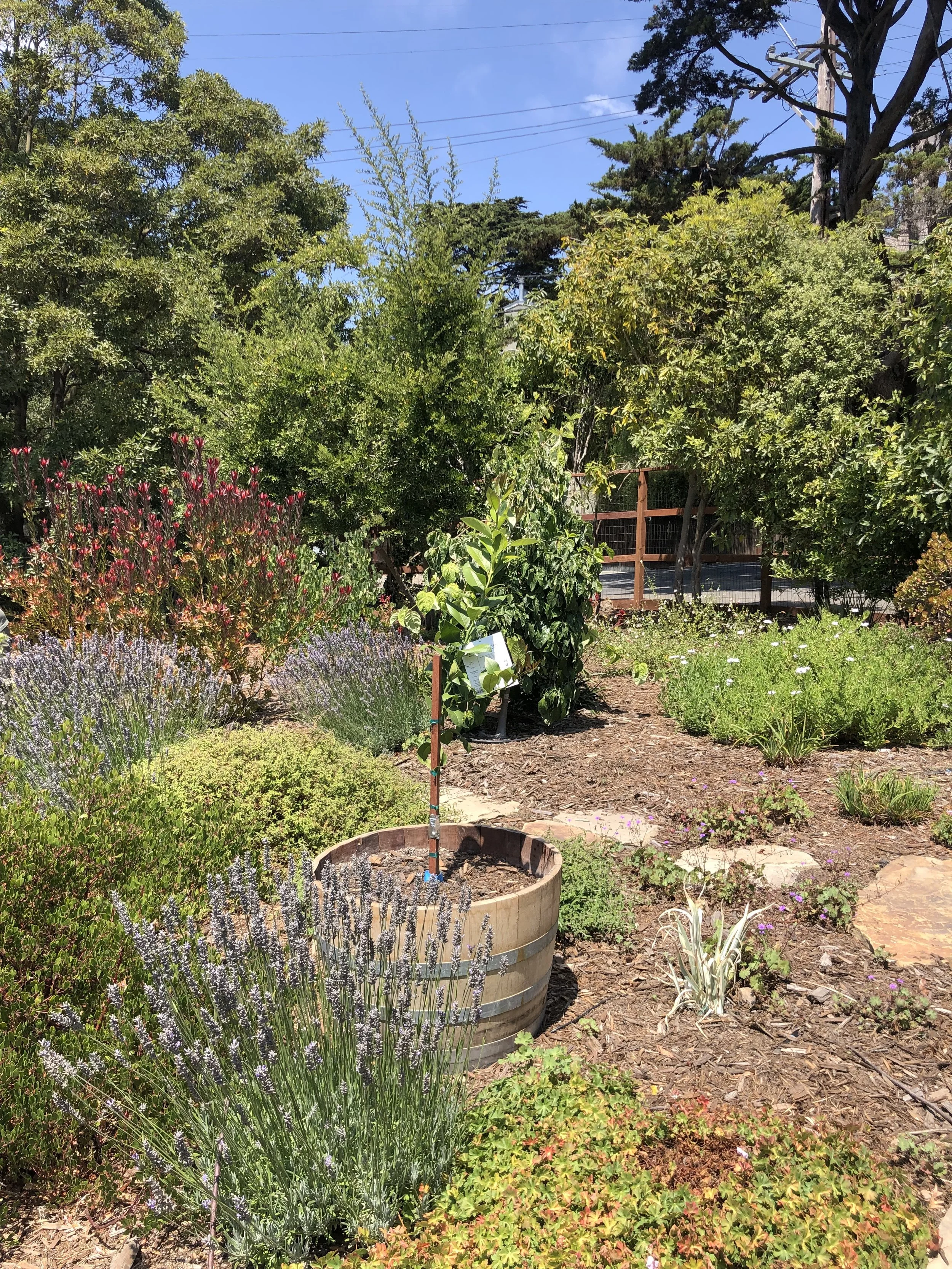 Our Gardens