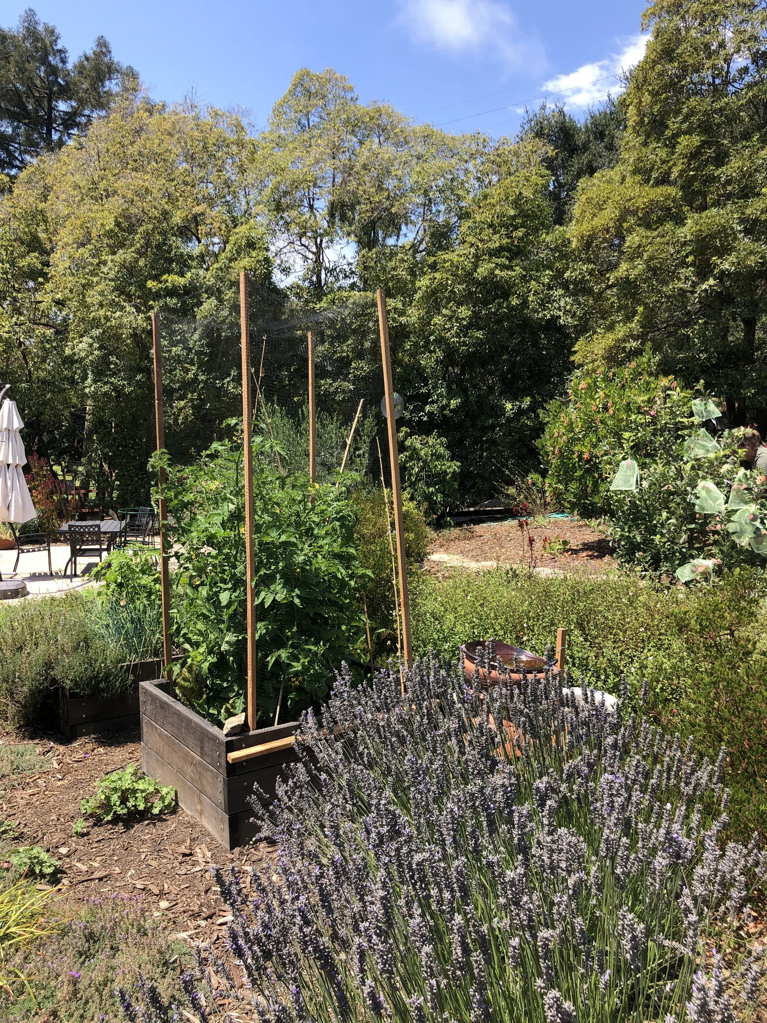 Our Gardens