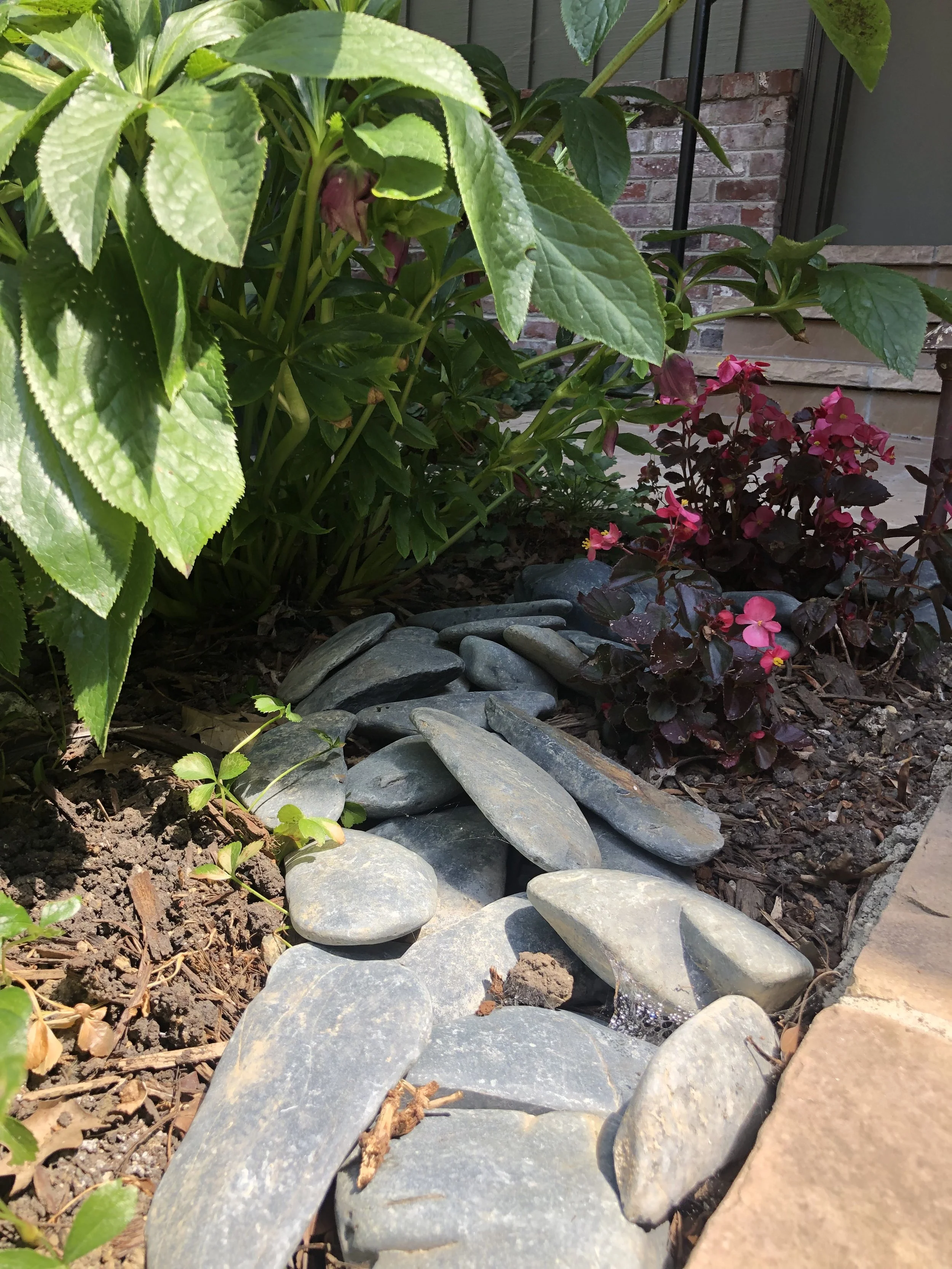 Our Gardens