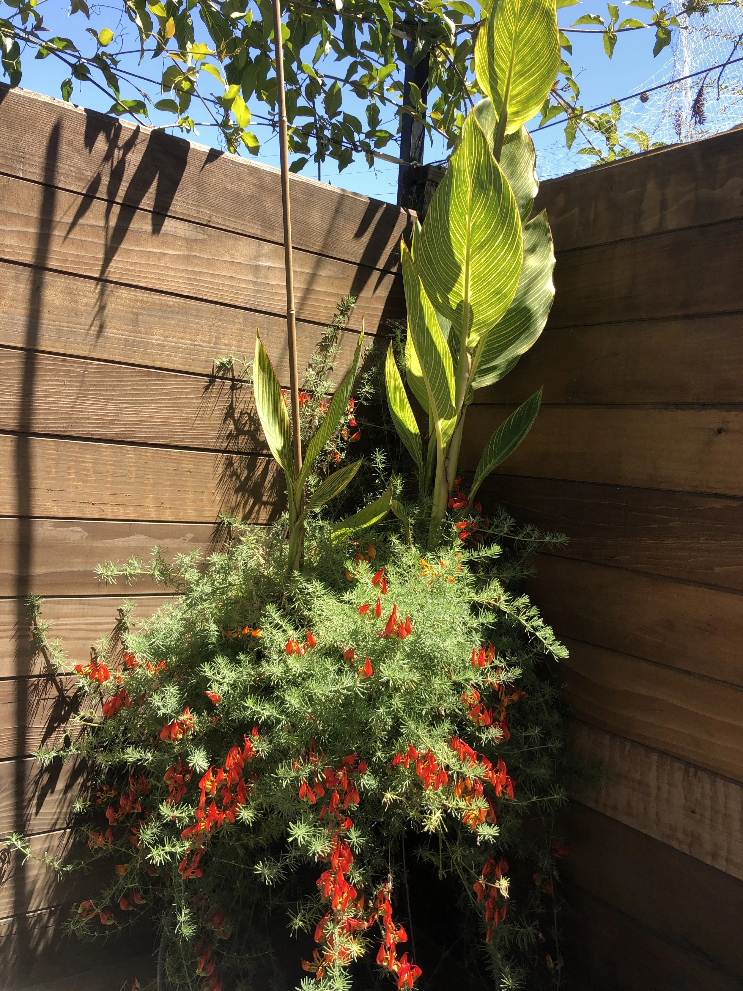 Our Gardens