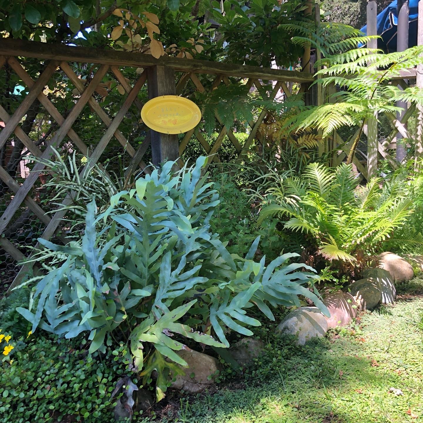 A Small Memorial