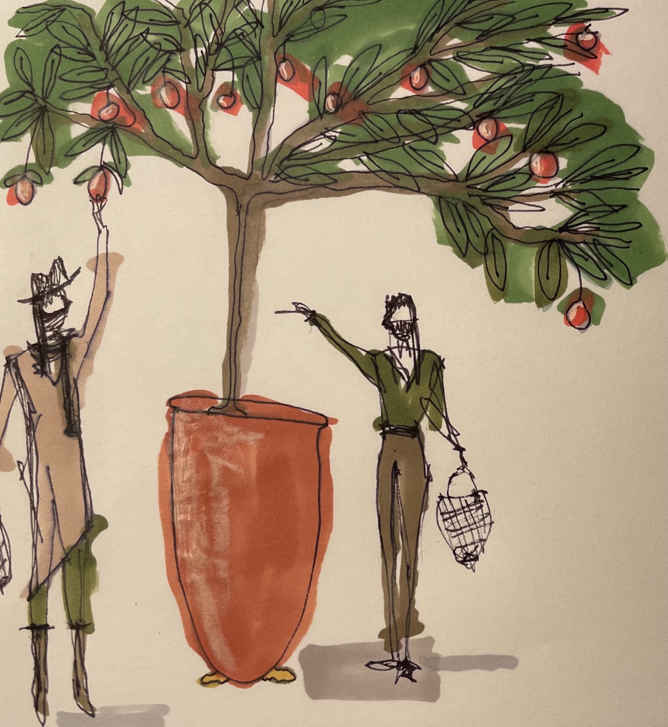 Garden design sketches and planning