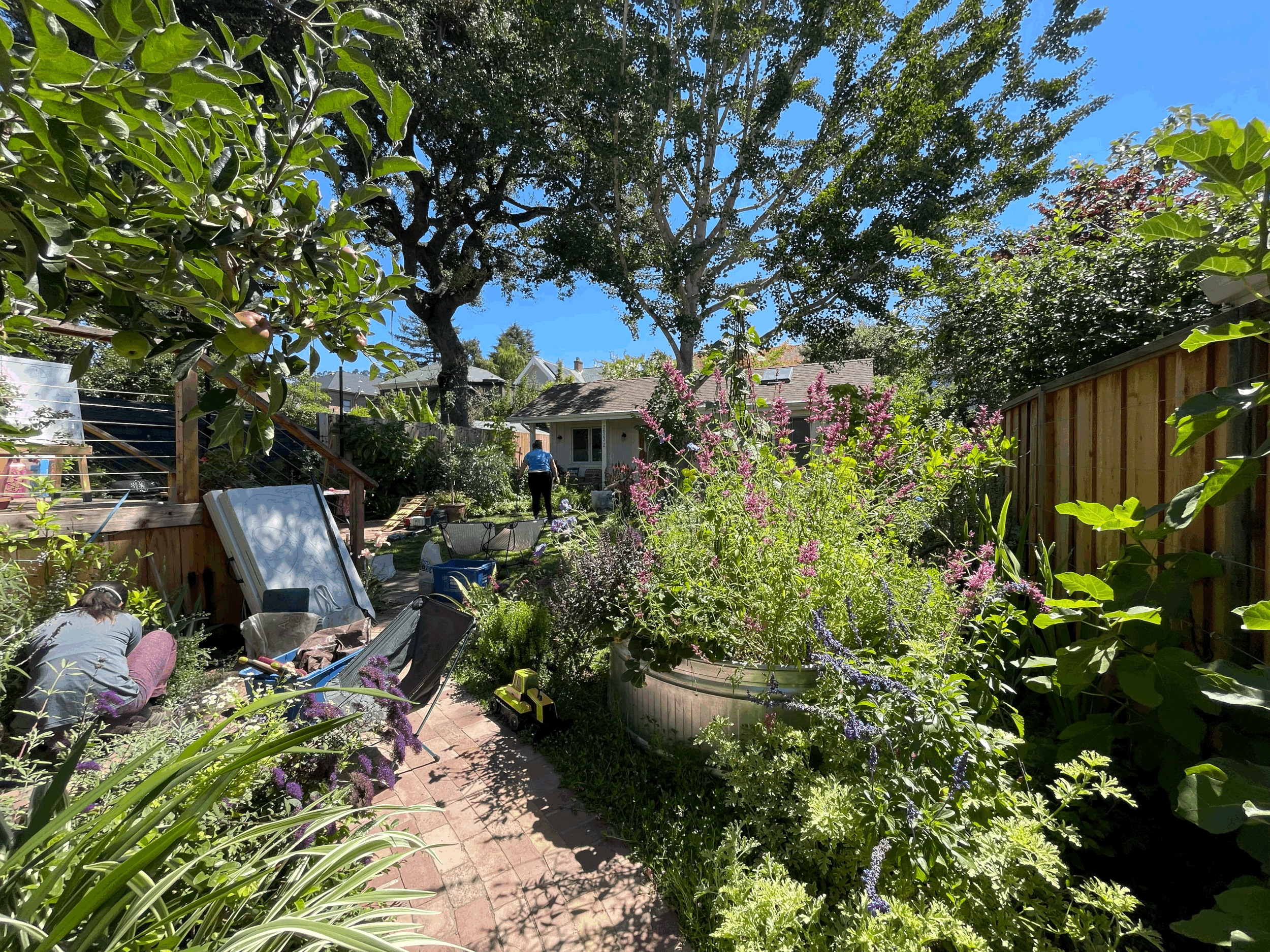 Enjoying Work — garden care