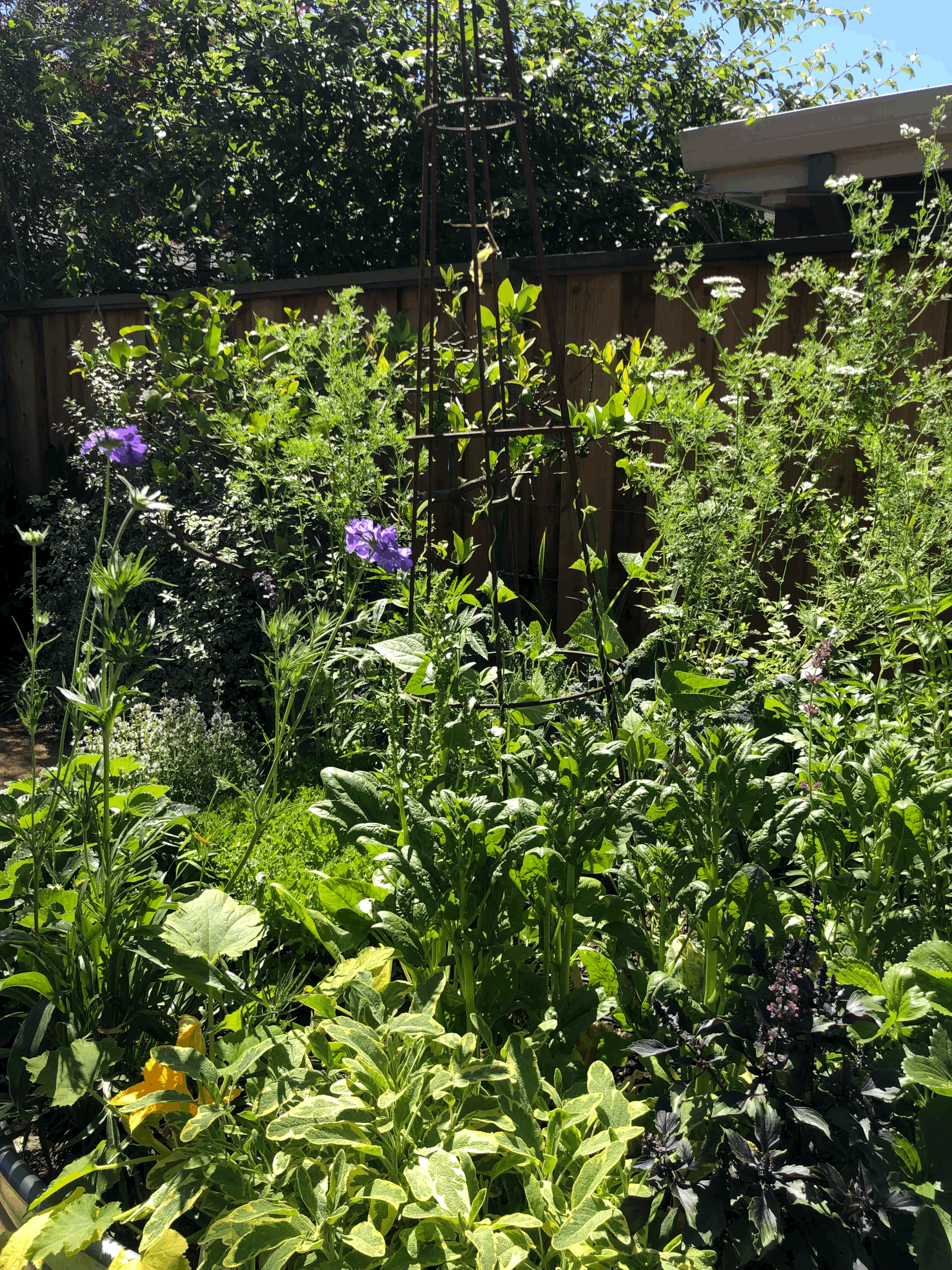 Our Gardens — ongoing care