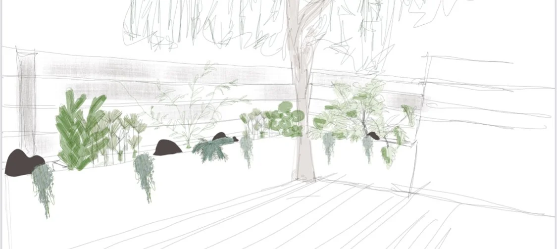 Garden after planting, established and lush