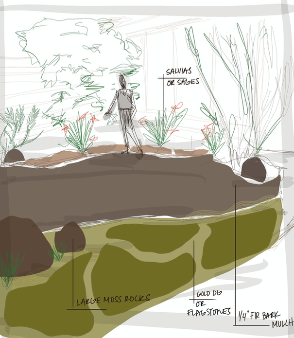 Hand-drawn garden design sketch
